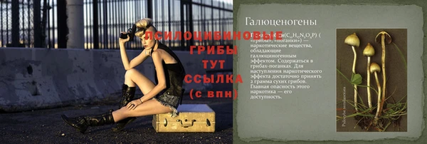 экстази Белокуриха