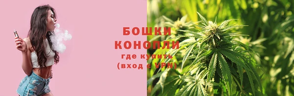 экстази Белокуриха