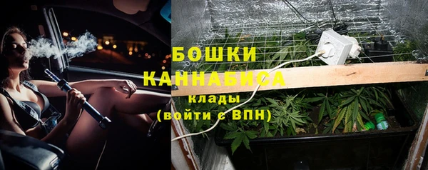 крисы Белоозёрский