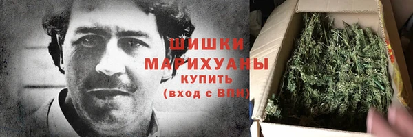 сатива Балахна