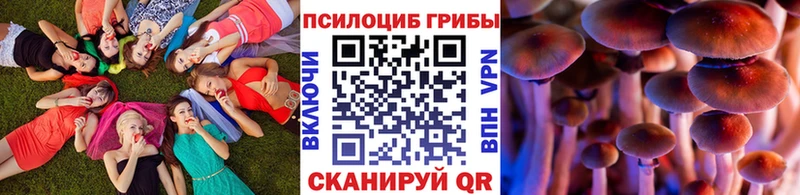 Псилоцибиновые грибы Cubensis  Ижевск 